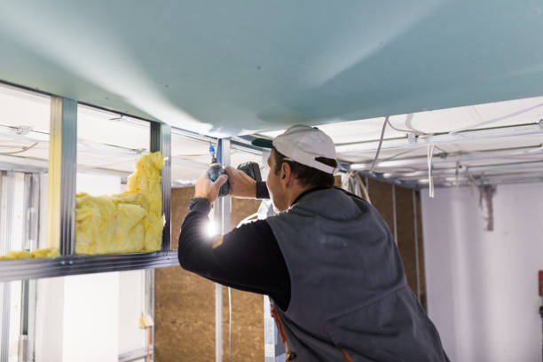 Best Insulation Maintenance and Repair in Sparta, MI